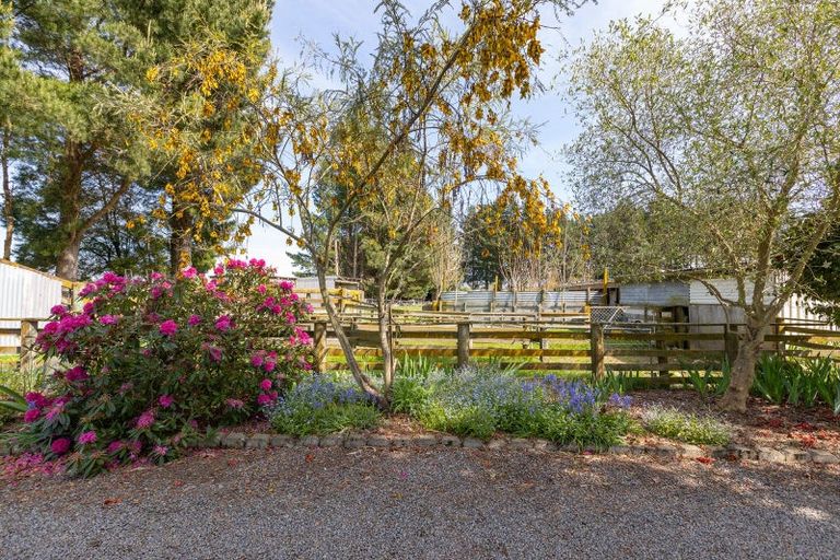 Photo of property in 56 Upper Manaia Road, Upper Plain, Masterton, 5888