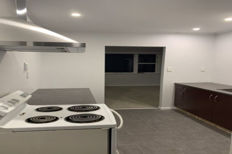 Photo of property in 17 Baffin Grove, Kingston, Wellington, 6021