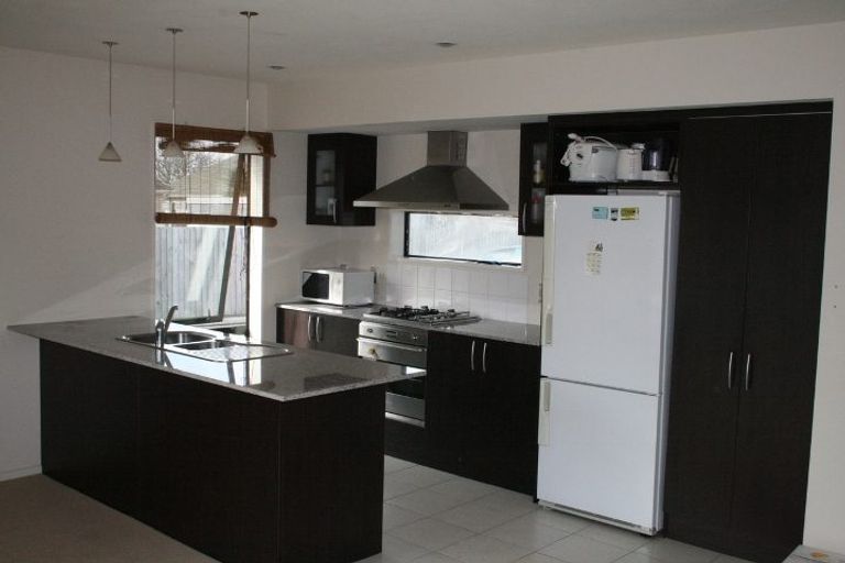 Photo of property in 17 Mosquito Place, Wigram, Christchurch, 8042