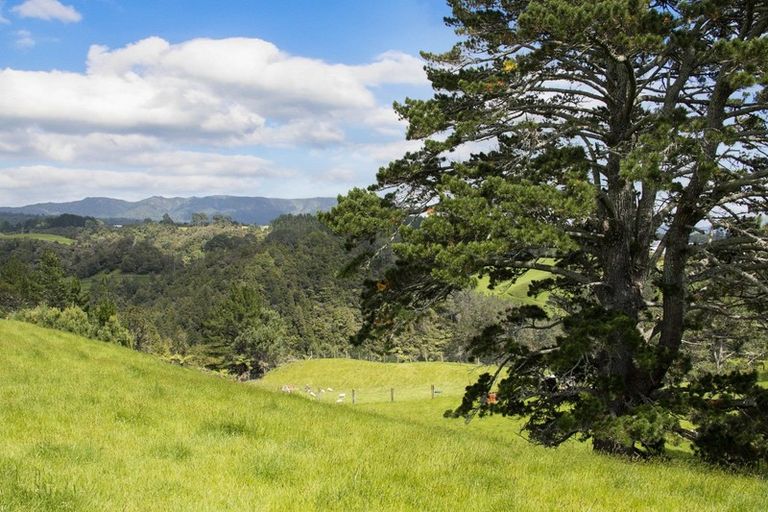 Photo of property in 306 Wainui Road South, Whakamarama, Katikati, 3181