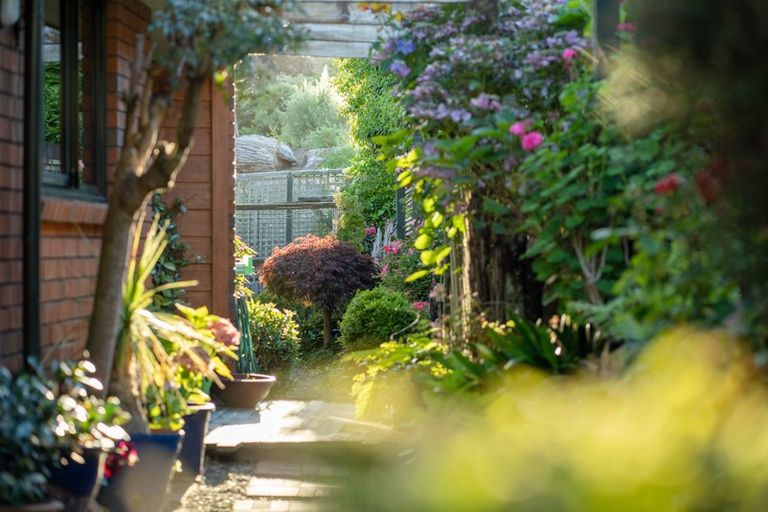 Photo of property in 42 Guildford Drive, Paraparaumu, 5032