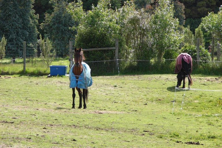 Photo of property in 242 Oreti Road, Otatara, Invercargill, 9879