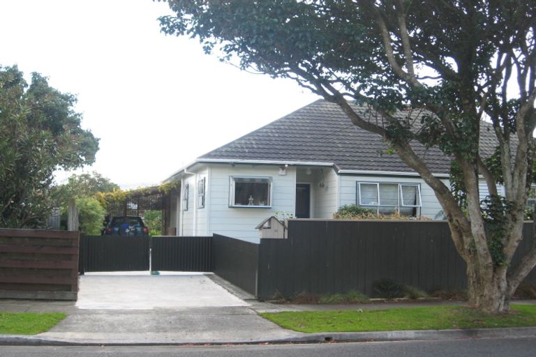 Photo of property in 41 Pilcher Crescent, Naenae, Lower Hutt, 5011