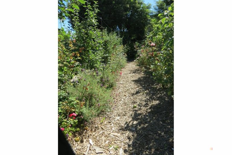 Photo of property in 36 Archer Street, Parkside, Timaru, 7910