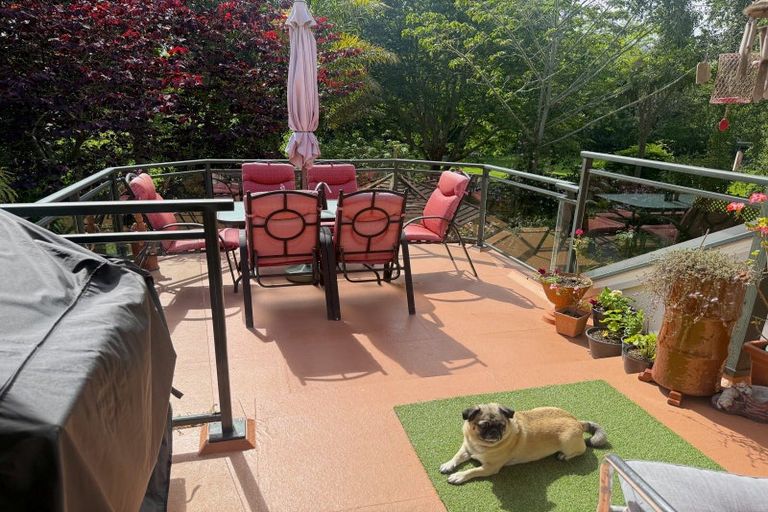 Photo of property in 41 Atkins Road, Otaki, 5583