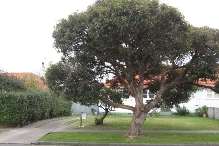 Photo of property in 3 Nash Street, Marewa, Napier, 4110