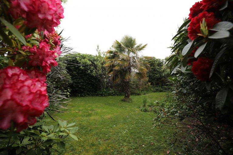 Photo of property in 136 Grace Street, Appleby, Invercargill, 9812