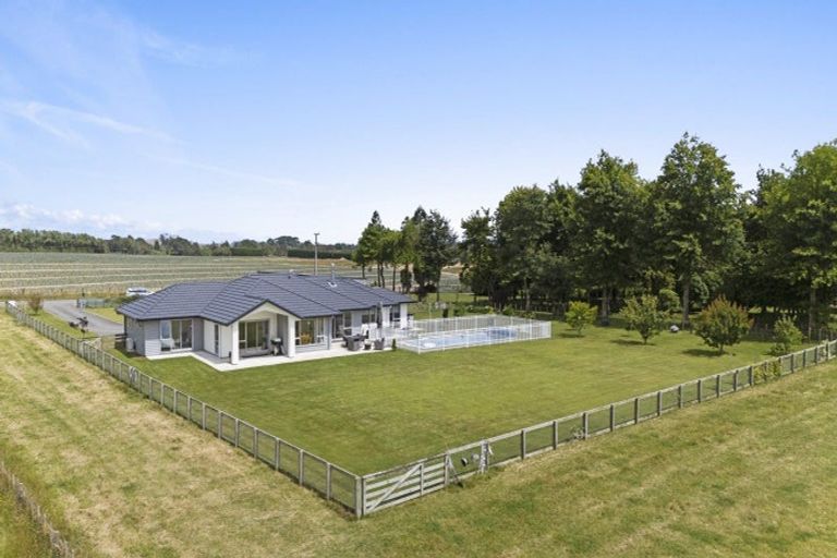 Photo of property in 14 Heatherlea Road West, Levin, 5575