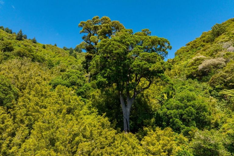 Photo of property in 185 Kanuka Rise, Wakapuaka, Nelson, 7071