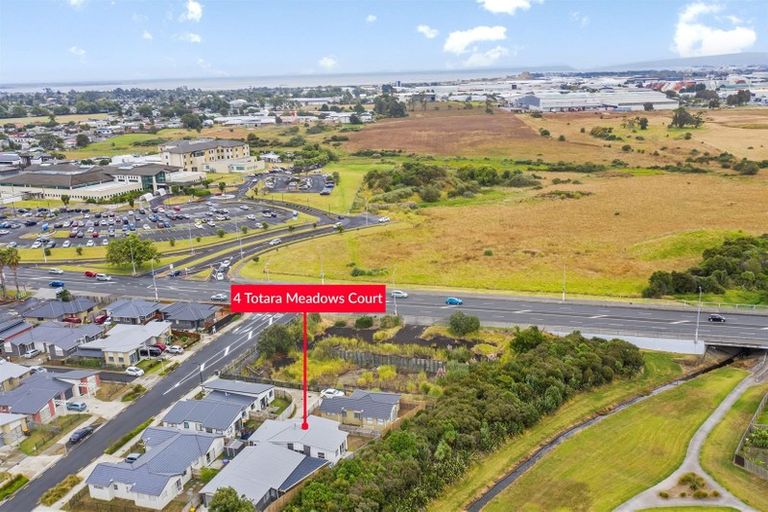 Photo of property in 4 Totara Meadows Court, Wiri, Auckland, 2104