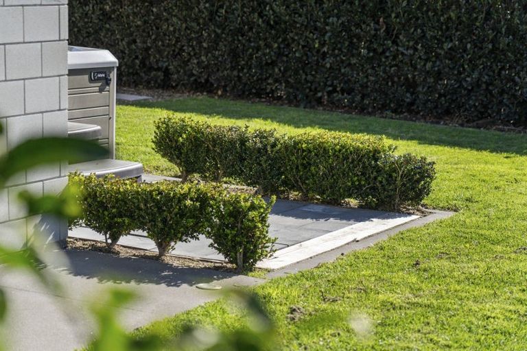 Photo of property in 17 Charlotte Drive, Omokoroa, 3114