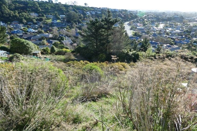 Photo of property in 17 Stronsay Lane, Hillsborough, Christchurch, 8022