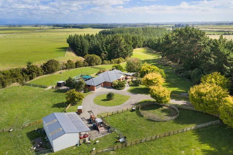 Photo of property in 285 Forlong Road, Colyton, Feilding, 4775