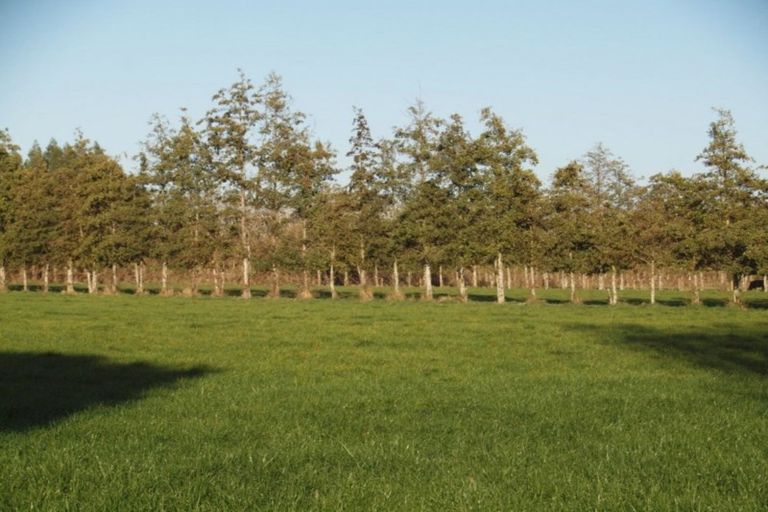 Photo of property in 84a Voss Road, Lincoln, Christchurch, 7674