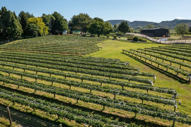 Photo of property in 529b Te Puke Highway, Te Puke, 3187