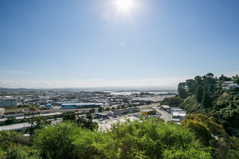 Photo of property in 54a Simla Terrace, Hospital Hill, Napier, 4110