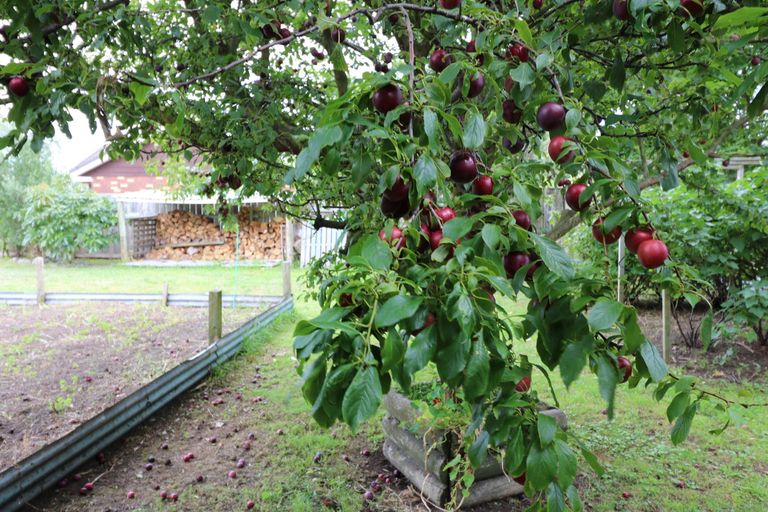 Photo of property in 3 Handley Place, Glen Avon, New Plymouth, 4312