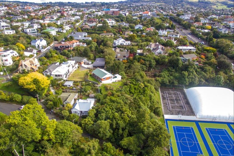 Photo of property in 73a Sligo Terrace, Roslyn, Dunedin, 9010