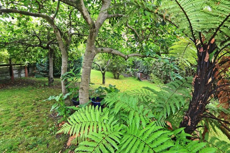 Photo of property in 66 Gillies Crescent, Waimarama, Havelock North, 4294