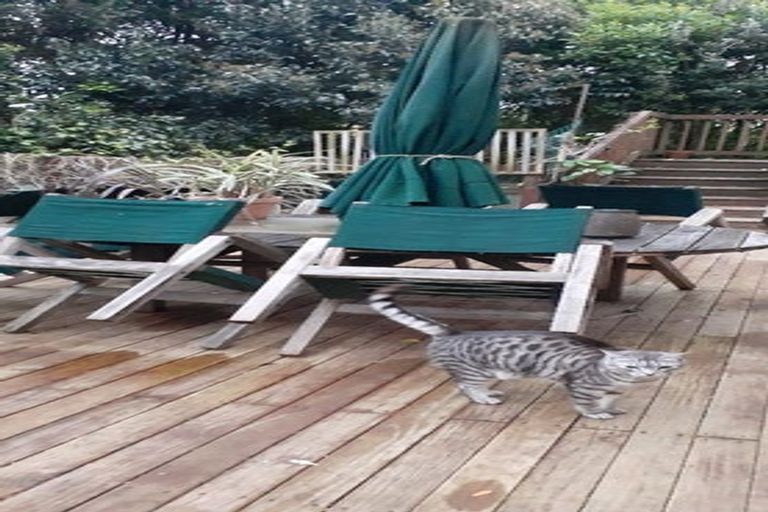 Photo of property in 309 West Tamaki Road, Wai O Taiki Bay, Auckland, 1072