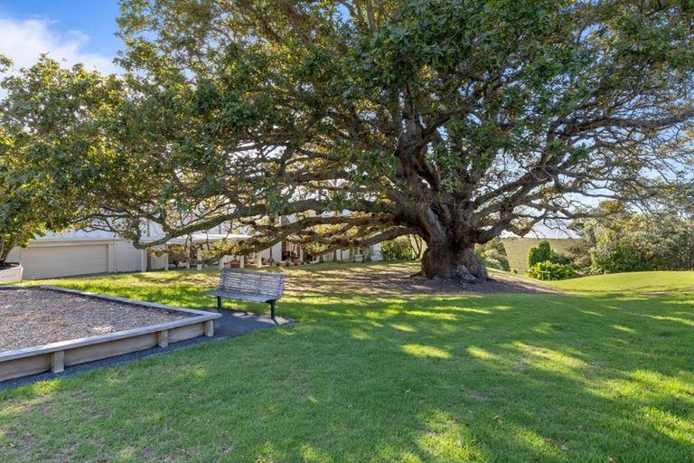 Photo of property in 25 Oakpark Place, West Harbour, Auckland, 0618