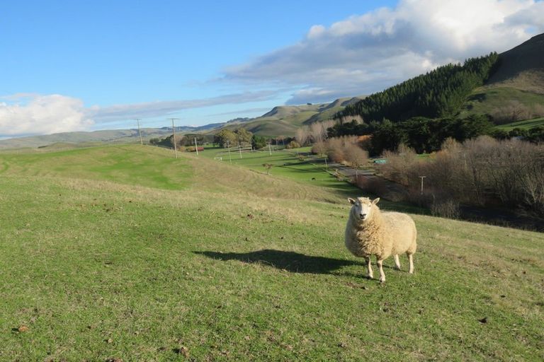 Photo of property in 727 Valley Road, Raukawa, Hastings, 4174