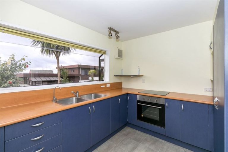 Photo of property in 119 Amanda Avenue, Dinsdale, Hamilton, 3204