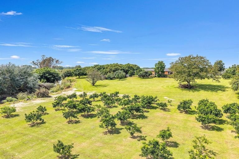 Photo of property in 23 Collins Lane, Te Puke, 3187