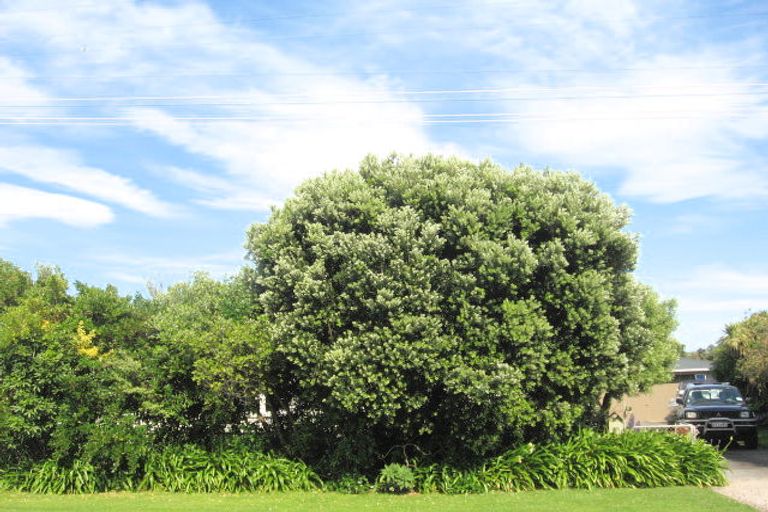 Photo of property in 47 Murphy Road, Wainui, Gisborne, 4010