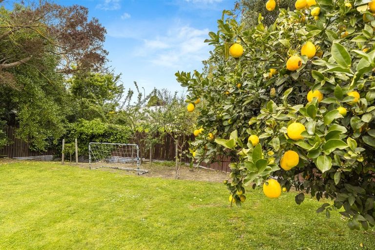 Photo of property in 8 Owen Place, Springlands, Blenheim, 7201