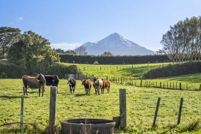 Photo of property in 241 Warwick Road, Stratford, 4391