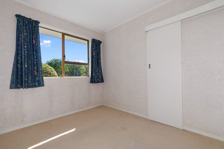 Photo of property in 52d Third Avenue, Tauranga, 3110