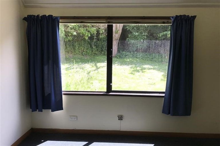 Photo of property in 21 Park Street, North Dunedin, Dunedin, 9016