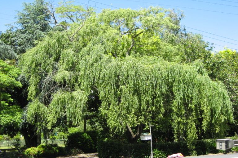 Photo of property in 22 Young Crescent, Drury, 2113