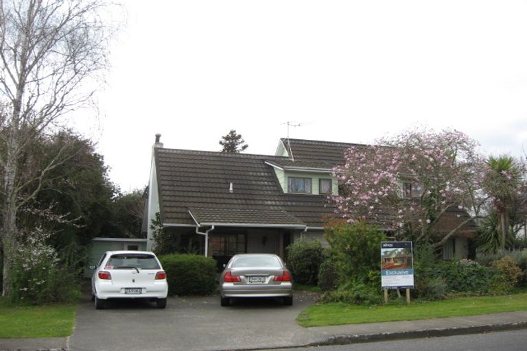 Photo of property in 31a Mchardy Street, Havelock North, 4130