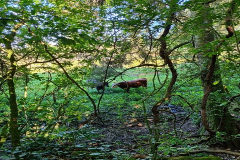 Photo of property in 584b State Highway 3, Waitomo, Te Kuiti, 3977