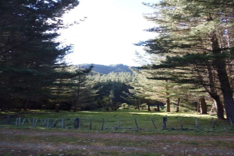 Photo of property in 1677 Takaputahi Road, Toatoa, Opotiki, 3197