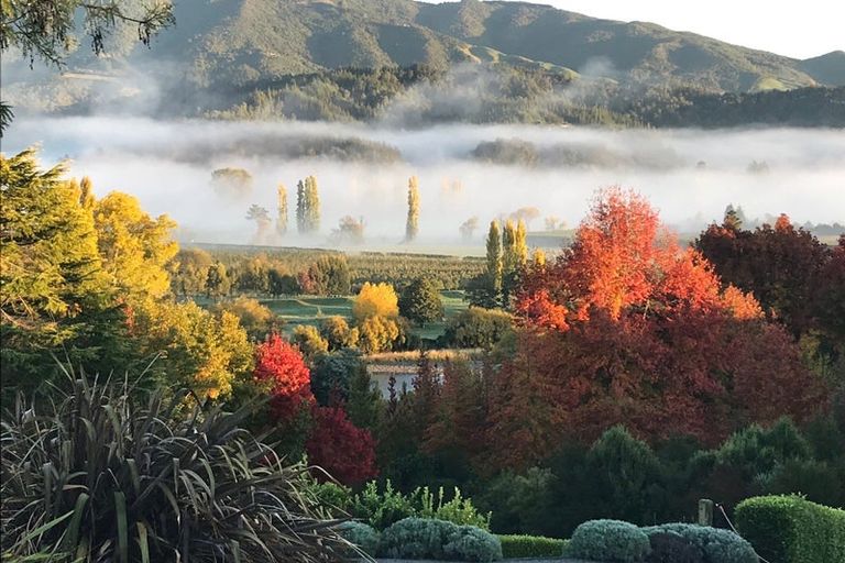 Photo of property in 273 College Street, Motueka, 7196