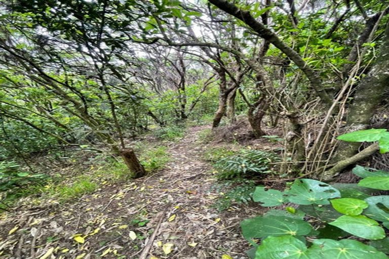 Photo of property in 26 Bodmin Terrace, Camborne, Porirua, 5026