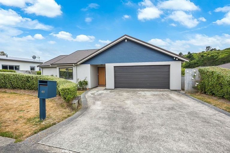 Photo of property in 45 Te Puia Drive, Aotea, Porirua, 5024