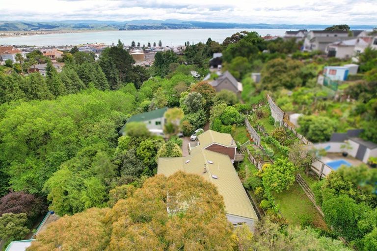 Photo of property in 21 Burns Road, Hospital Hill, Napier, 4110