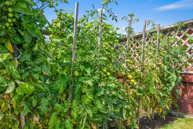 Photo of property in 20a Wilford Street, Wallaceville, Upper Hutt, 5018