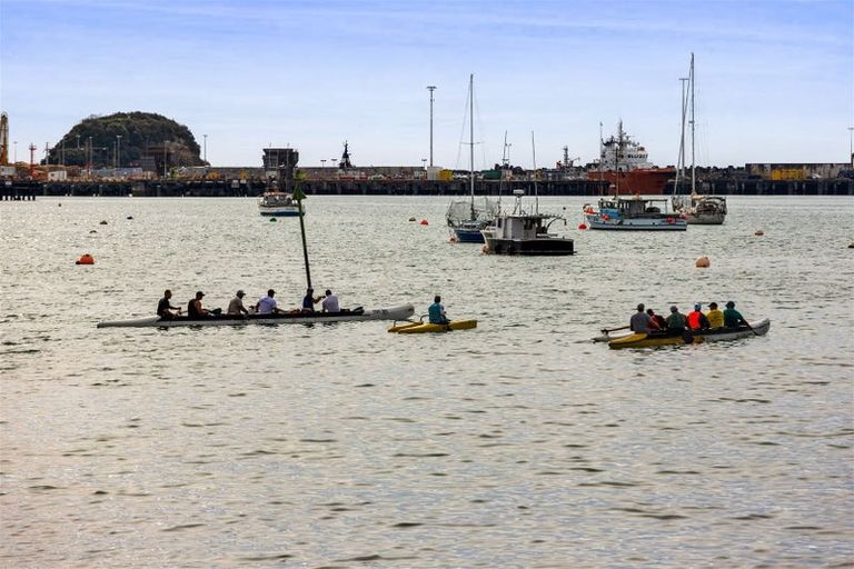 Photo of property in 38d Breakwater Road, Moturoa, New Plymouth, 4310