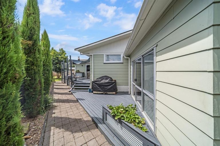 Photo of property in 17 Chelmsford Street, Silverdale, Hamilton, 3216