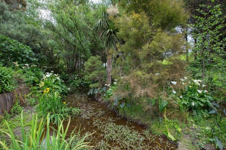 Photo of property in 106 Moir Street, Mangawhai, 0505