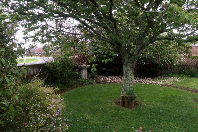 Photo of property in 52 Mcclure Street, Pirongia, 3802