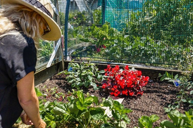 Photo of property in 12 Parkside Drive, Orewa, 0931