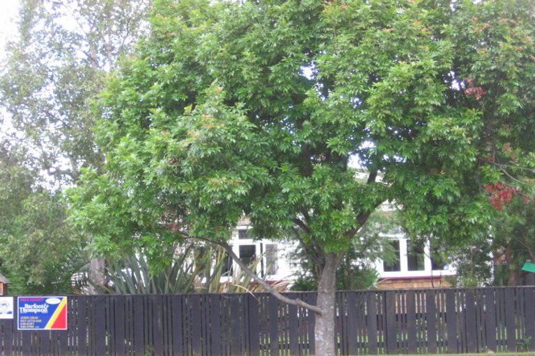 Photo of property in 12 Newcastle Terrace, Mount Albert, Auckland, 1025