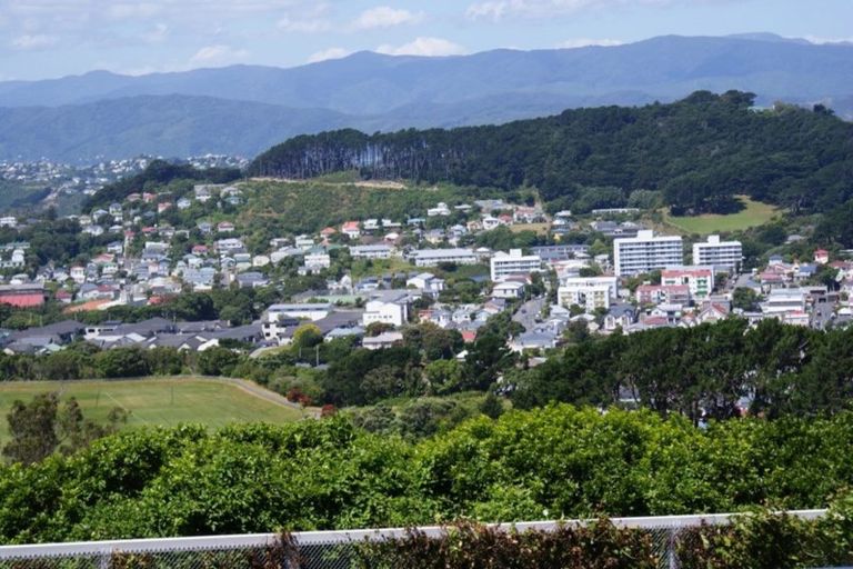 Photo of property in 56 Farnham Street, Mornington, Wellington, 6021