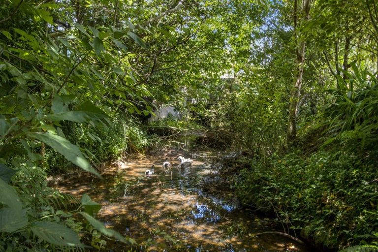 Photo of property in 10 Richmal Street, Waihi, 3610